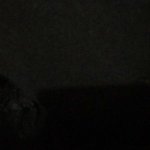 Meet your Posher, Randy